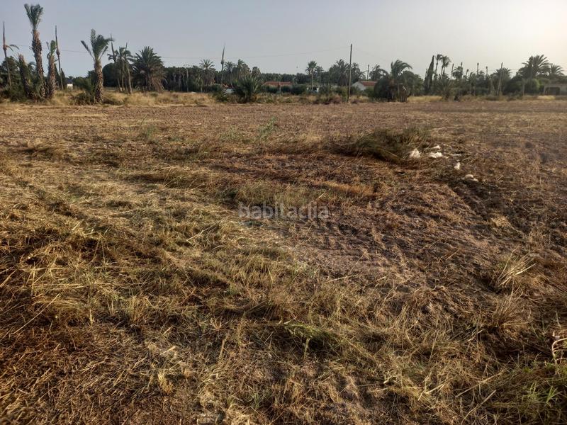 Foto 95e1ddc4-2bb7-4020-8968-ad4212d64cb3. Casa a La Foia - Daimés - Asprella Elche / Elx