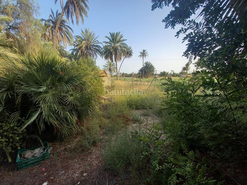 Foto 9e0e50d0-115b-4f8b-9654-cad7b4e6ee84. Casa a La Foia - Daimés - Asprella Elche / Elx