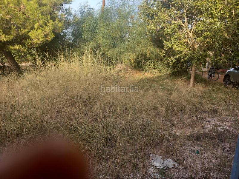 Foto f07e048d-f4cd-4d57-8a55-1405a31637f6. Casa a La Foia - Daimés - Asprella Elche / Elx