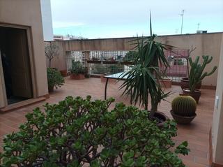 Àtic a Centro. Gran atico en el centro de elche no dudes en contactarnos, te in