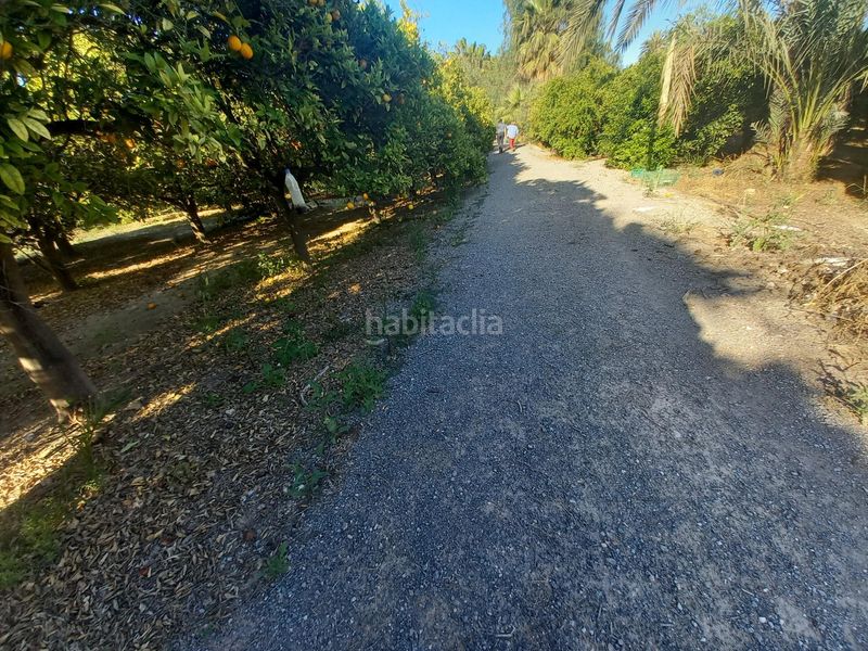 Foto 0b48b111-ab33-4dd8-bc73-407a02519848. Terreny residencial a Algorós - El Derramador Elche / Elx