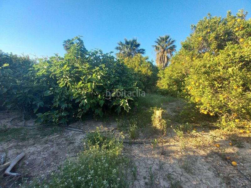 Foto 1458b87a-1455-4b2a-8da7-709ca74d4761. Terreny residencial a Algorós - El Derramador Elche / Elx