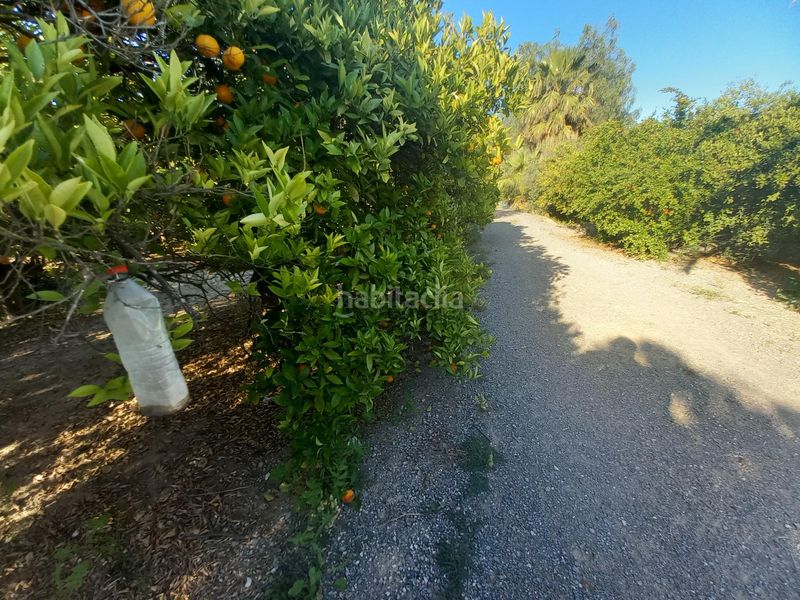 Foto 35234e43-9834-4a34-9690-7f91a0ba9aa3. Terreny residencial a Algorós - El Derramador Elche / Elx