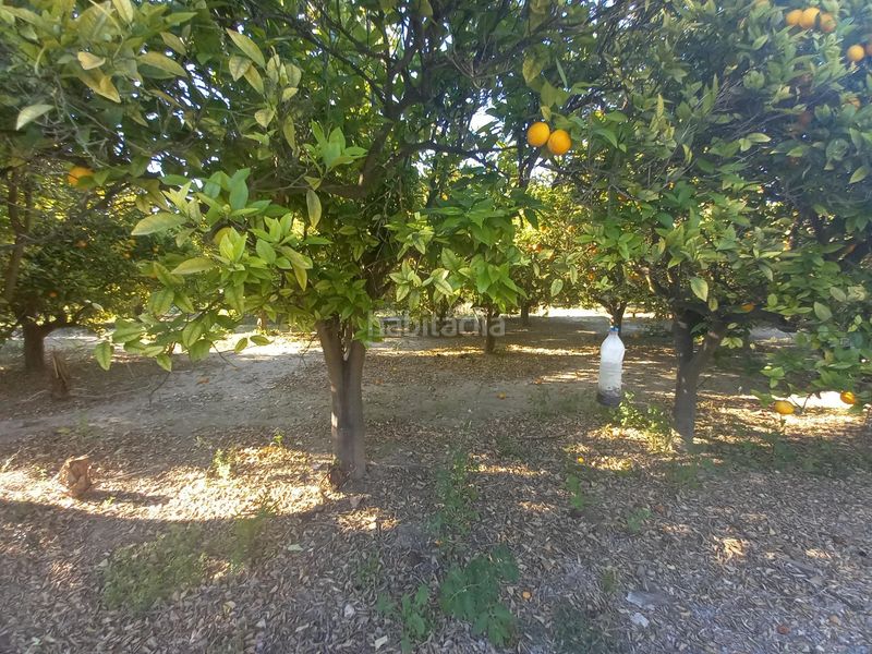 Foto 5a88088f-50ed-4497-b488-c2bfebfa9e9b. Terreny residencial a Algorós - El Derramador Elche / Elx