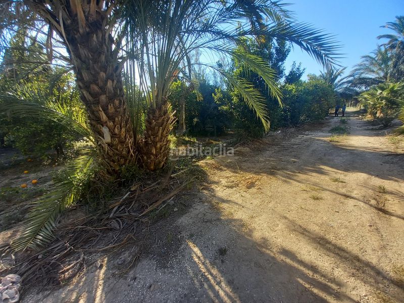 Foto 9825b4e3-e0a5-4164-8a11-d3d5b7e53d75. Terreny residencial a Algorós - El Derramador Elche / Elx