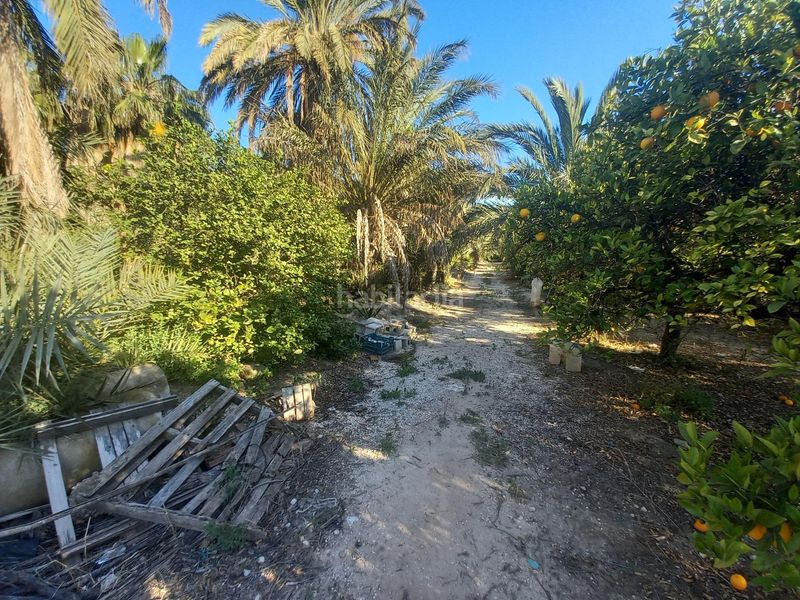 Foto b14ef0b8-878a-4913-b4ac-2631e97ca135. Terreny residencial a Algorós - El Derramador Elche / Elx