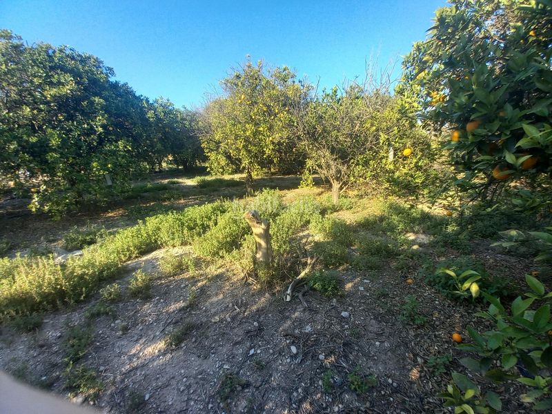 Foto b50662d3-b614-4ef9-b03e-938a69f33220. Terreny residencial a Algorós - El Derramador Elche / Elx