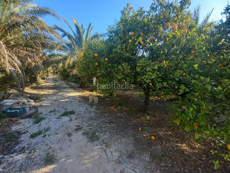 Foto d113fa48-7c3a-4607-880e-18128e668205. Terreny residencial a Algorós - El Derramador Elche / Elx