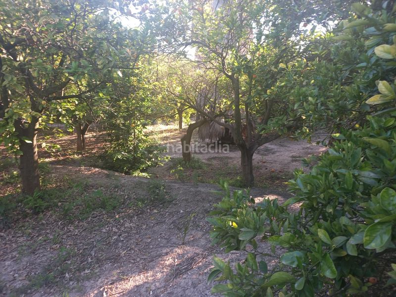 Foto d86eb867-0a43-40f8-9f87-c9e1737c18fa. Terreny residencial a Algorós - El Derramador Elche / Elx