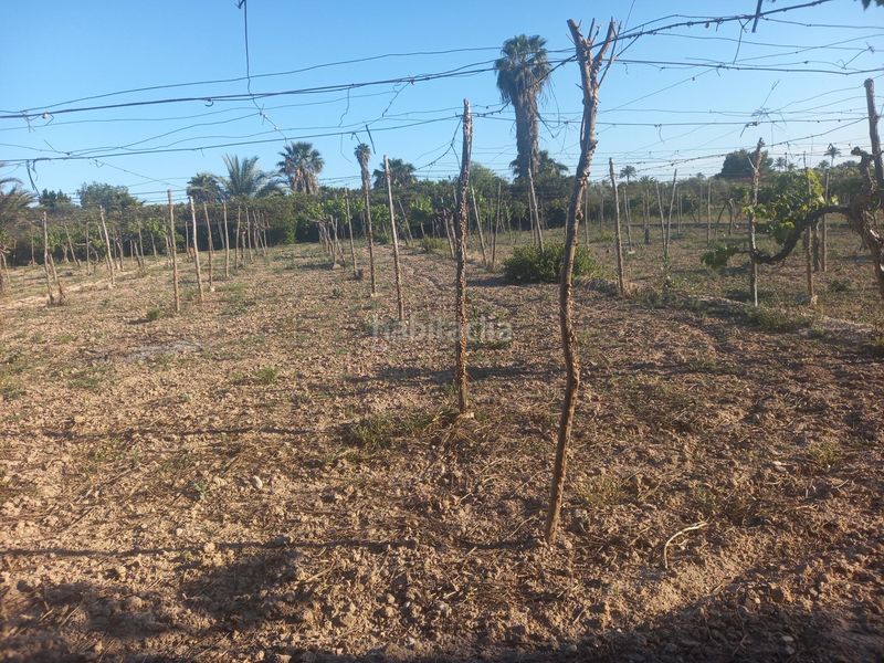 Foto e7258482-58d8-4705-894d-6a1136d6bca2. Terreny residencial a Algorós - El Derramador Elche / Elx