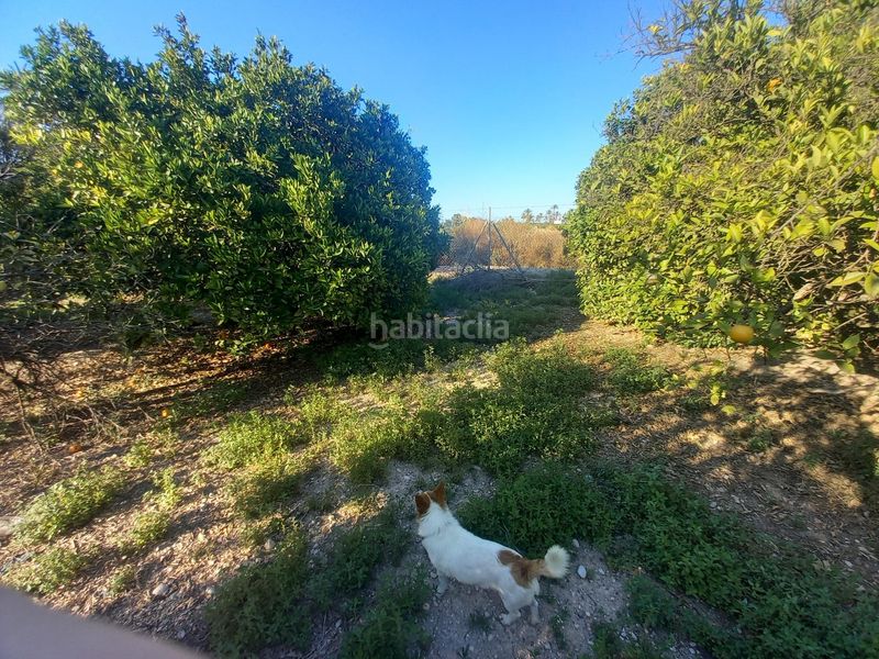Foto f2410c15-8b1c-49e4-9d9d-bd6aa5560aae. Terreny residencial a Algorós - El Derramador Elche / Elx
