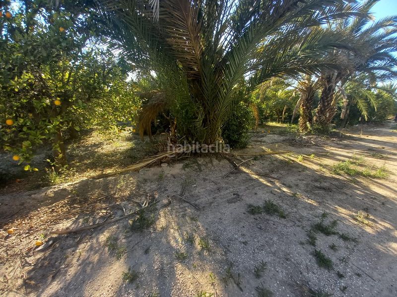 Foto ff86d42c-df3d-45d2-a6d6-4d503b5b39fe. Terreny residencial a Algorós - El Derramador Elche / Elx