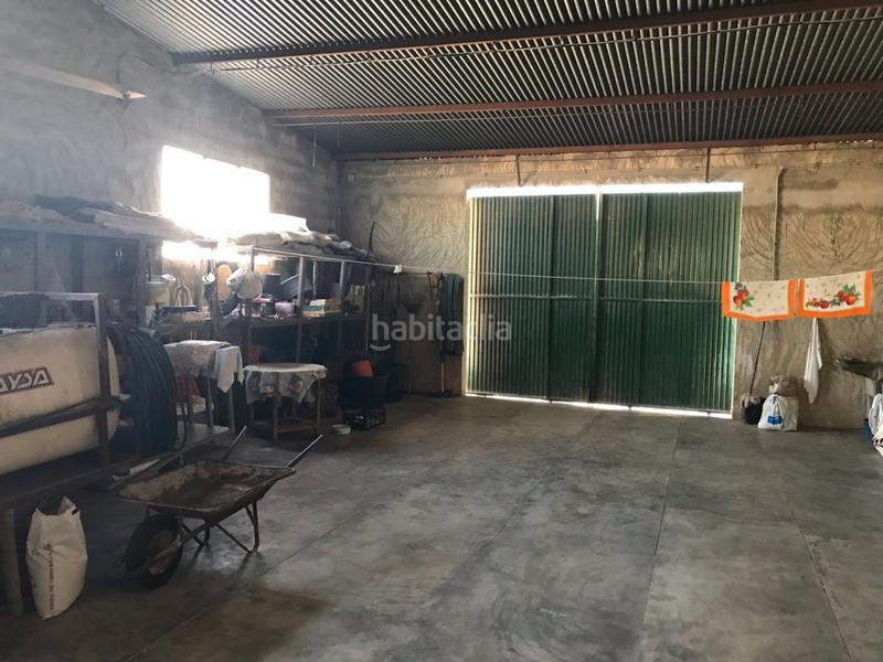 Foto 4f404dca-8bb2-4158-937b-c366fdcd2be7. Masia amb piscina a Jubalcoi Elche / Elx