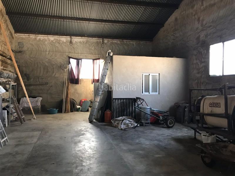 Foto c9cd9f00-9f98-4b9c-b7b1-0d812d47a470. Masia amb piscina a Jubalcoi Elche / Elx