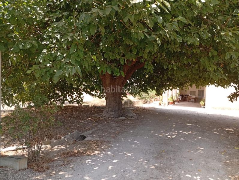 Foto d870d621-8847-4665-b7e4-1623cc8644e7. Casa a La Foia - Daimés - Asprella Elche / Elx