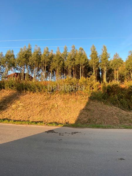 Foto a01e2b19-2867-416d-bb9a-918f7bbb7d17. Terreno residencial terreno / urbanizable en venta vilar, en Laracha
