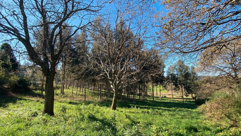 Foto 1ae67db3-d19a-45f4-900b-7f6b757fb2e1. Fondo rustico in rúa camiño dos muiños 18 in Mesoiro Coruña (A)