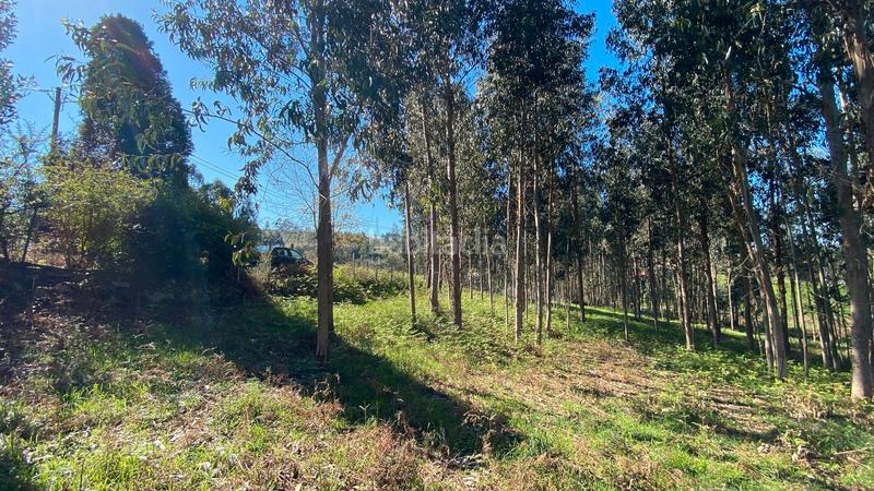 Foto 3dce47a4-8cab-46ec-a02a-aee6c6c6f227. Fondo rustico in rúa camiño dos muiños 18 in Mesoiro Coruña (A)