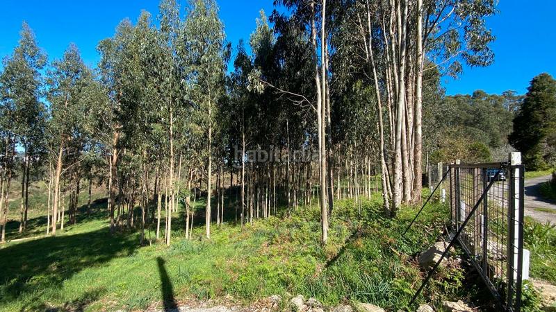 Foto 48a10c74-92b8-44fe-8ae8-87c2980cdb5f. Fondo rustico in rúa camiño dos muiños 18 in Mesoiro Coruña (A)