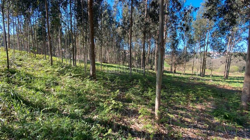 Foto 4a34cfab-41f5-4099-bfa5-c183798f3d27. Fondo rustico in rúa camiño dos muiños 18 in Mesoiro Coruña (A)