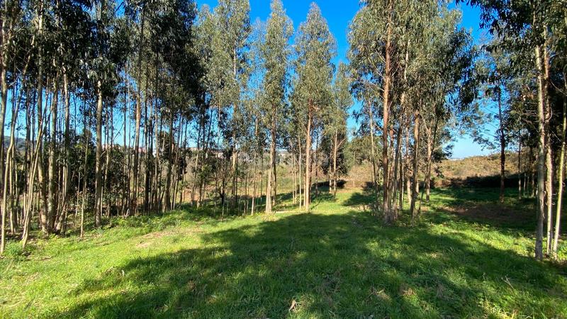 Foto 50dce7db-6f50-424f-aa10-548909d76181. Fondo rustico in rúa camiño dos muiños 18 in Mesoiro Coruña (A)