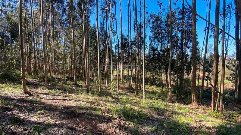 Foto 5ac0ff59-8c7c-4c97-85d2-93185f32bf3d. Fondo rustico in rúa camiño dos muiños 18 in Mesoiro Coruña (A)