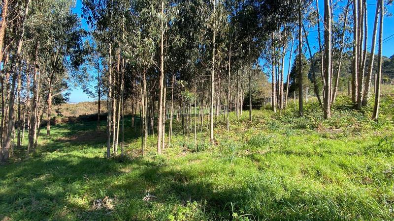 Foto 85928610-6254-4413-8bd7-552aeb23994d. Fondo rustico in rúa camiño dos muiños 18 in Mesoiro Coruña (A)