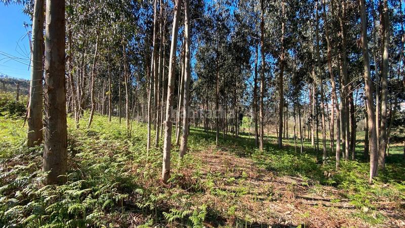 Foto a4a8c8a3-3eb7-442b-af74-518b662c52b5. Fondo rustico in rúa camiño dos muiños 18 in Mesoiro Coruña (A)