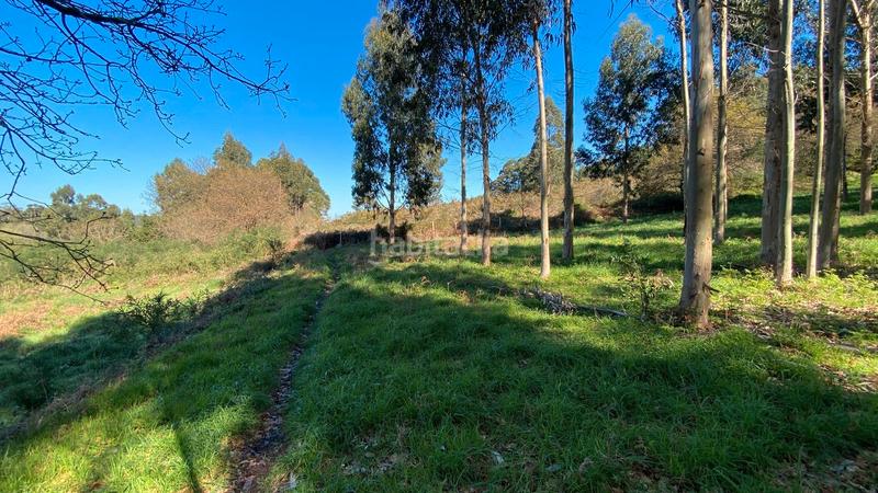 Foto b8a78e73-204d-43a6-a813-0d340a9d231c. Fondo rustico in rúa camiño dos muiños 18 in Mesoiro Coruña (A)