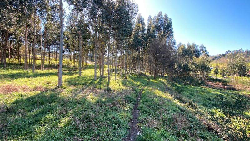 Foto c46efc37-59d9-4089-a8b9-1d05b99a66af. Fondo rustico in rúa camiño dos muiños 18 in Mesoiro Coruña (A)