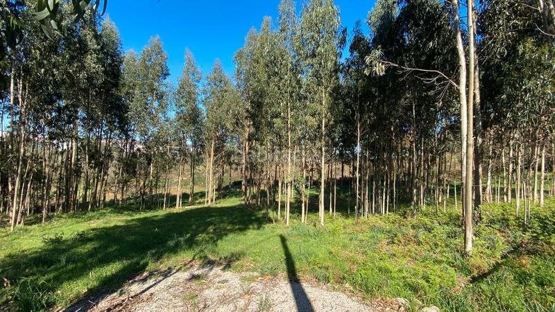 Foto c87a553f-0384-44f6-b69d-d4287a7413dc. Fondo rustico in rúa camiño dos muiños 18 in Mesoiro Coruña (A)