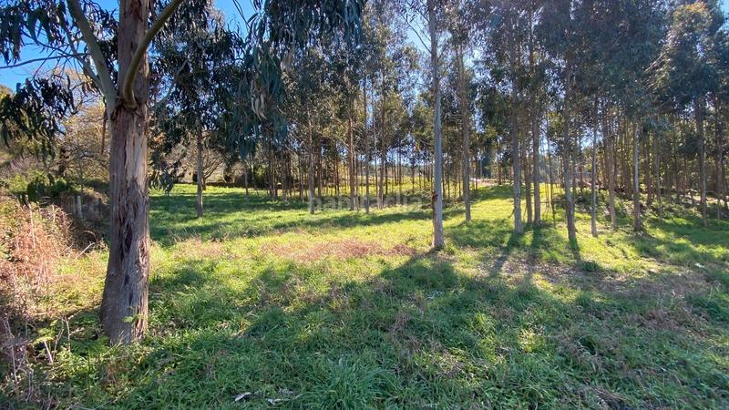 Foto ca202bca-c717-4066-ac2b-deb5c99e7643. Fondo rustico in rúa camiño dos muiños 18 in Mesoiro Coruña (A)