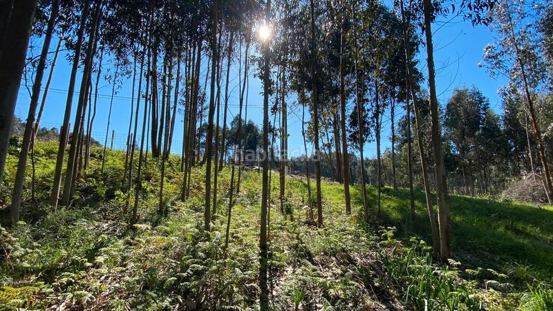 Foto df3c090c-0b20-4281-b2fb-6c2f8fbbd38b. Fondo rustico in rúa camiño dos muiños 18 in Mesoiro Coruña (A)