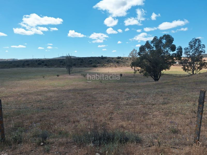 Foto 0d77177f-076d-4ca3-8a9e-9a62d95e4934. Finca rústica a calle colon 15 a Tharsis
