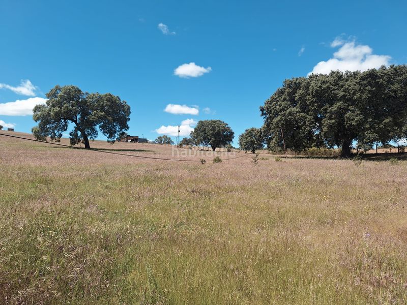 Foto 407417a4-81e5-458b-8198-13d5652e5861. Finca rústica a calle colon 15 a Tharsis