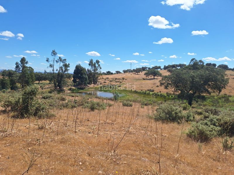 Foto 56507456-3400-4410-b960-a31f90624c35. Finca rústica a calle colon 15 a Tharsis