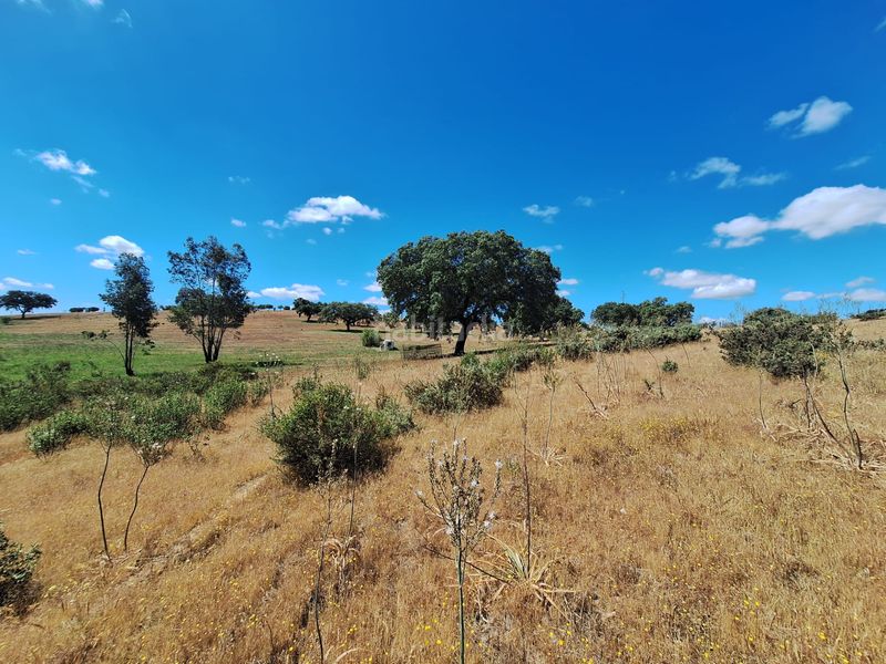 Foto 88358a54-1285-443f-a247-a9c3376d5f11. Finca rústica a calle colon 15 a Tharsis