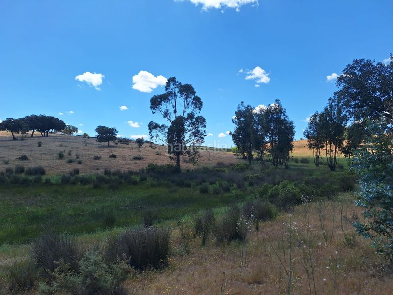 Foto a716b77d-9860-4604-8bf4-55ce85c7cb74. Finca rústica a calle colon 15 a Tharsis