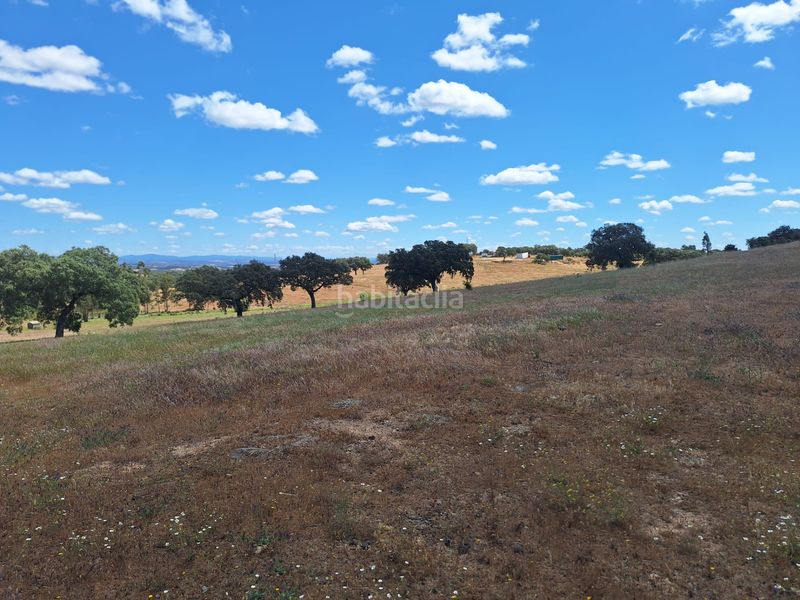 Foto b9656e0b-24d8-434c-afdf-97990887d360. Finca rústica a calle colon 15 a Tharsis