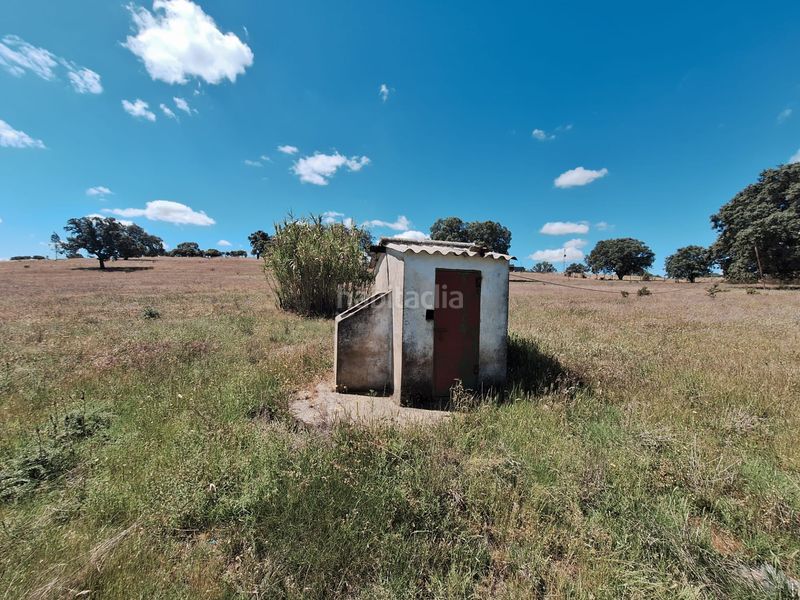 Foto d02ca490-11f0-43d9-883a-89d057c5cfde. Finca rústica a calle colon 15 a Tharsis