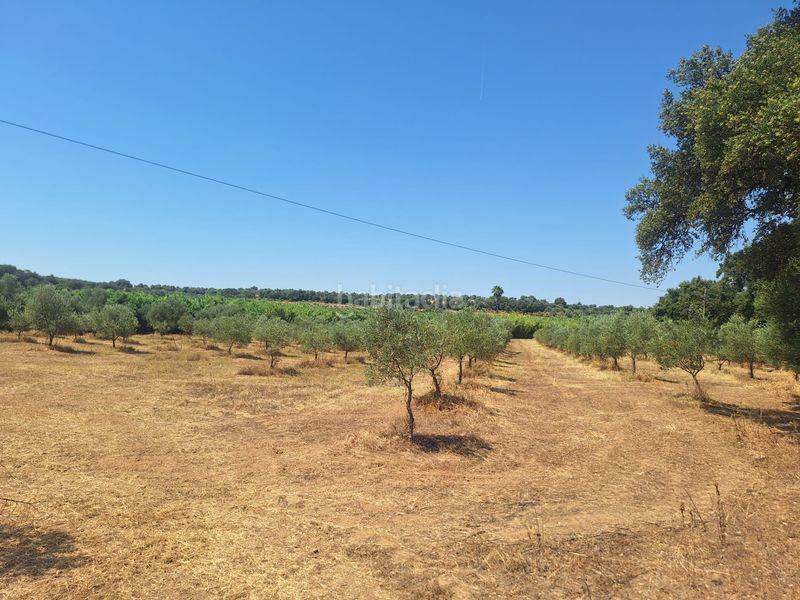 Foto 0f5d8d18-fe90-4178-932c-25b99f7bac20. Finca rústica a n/a a Beas