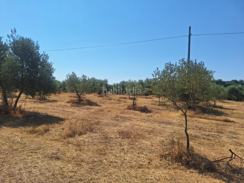 Foto e97b9661-7e92-4947-bcb7-01d1157f6241. Finca rústica a n/a a Beas