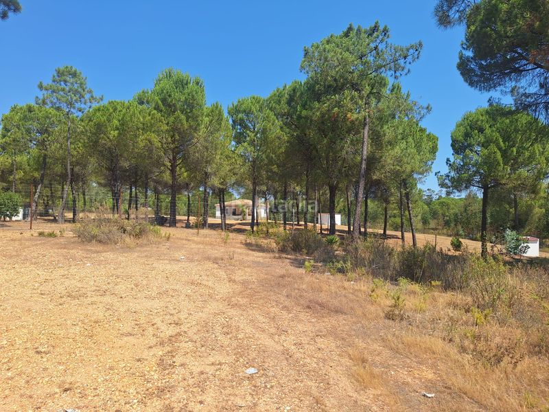 Foto a997dd6f-e45b-47d5-97fc-7e8d98e6e4ca. Finca rústica a n/a a Beas