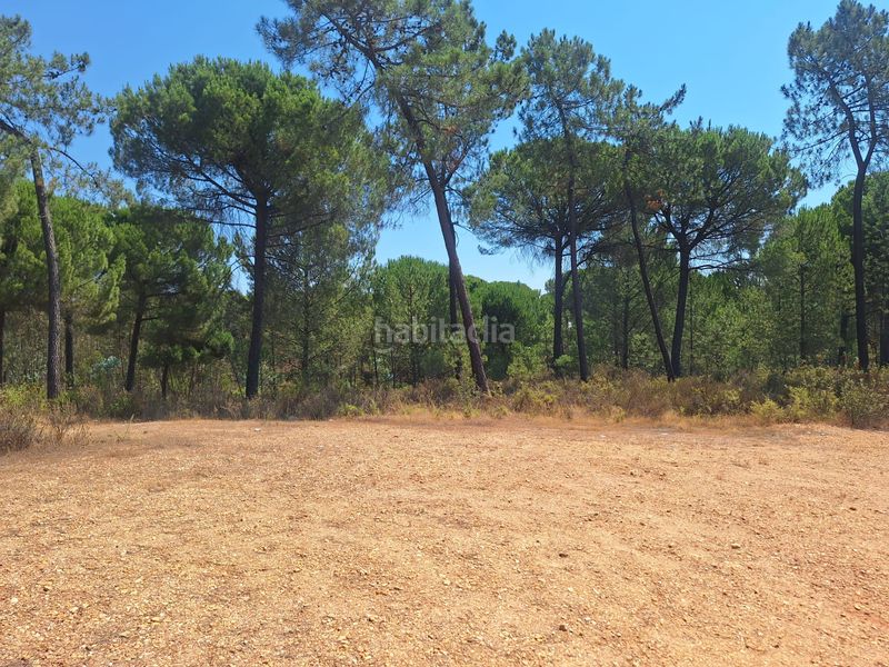 Foto dda20dd6-6660-440b-aa4c-46acd6573551. Finca rústica a n/a a Beas