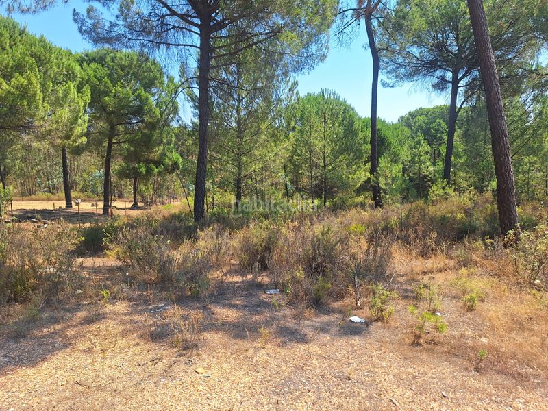 Foto f983f241-db02-4a0b-a376-55580db00394. Finca rústica a n/a a Beas