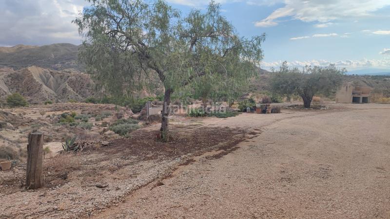 Foto 6df26020-1c23-4aea-8a04-1c6278138578. Casa a Abanilla