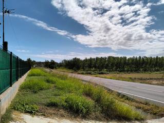 Casa a Gi-633 5. Camp d'oliveres, hort, figueres, tros de bosc, regadiu, etc.