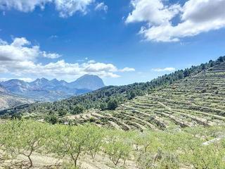 Masia a N/a. Casa con terreno para cultivar  autosuficiente -  paz y calma