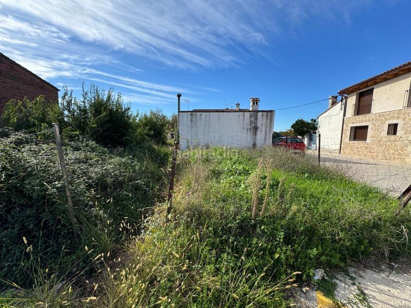 Foto ba3d1859-b994-4273-a8c5-5df39dabc57a. Terreny residencial a Candeleda