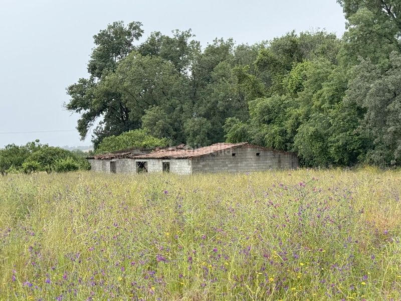 Foto 4b466689-40dc-4a6e-b88a-d06226c49ef1. Maison dans Candeleda